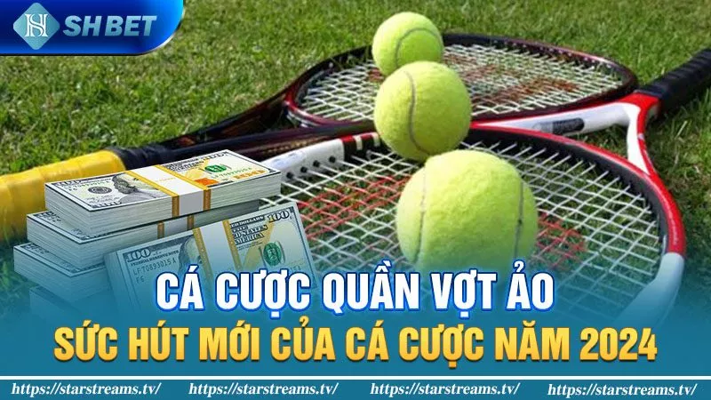 ca cuoc quan vot ao suc hut moi cua ca cuoc nam 2024