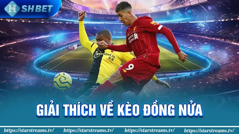 Giải thích về kèo đồng nửa