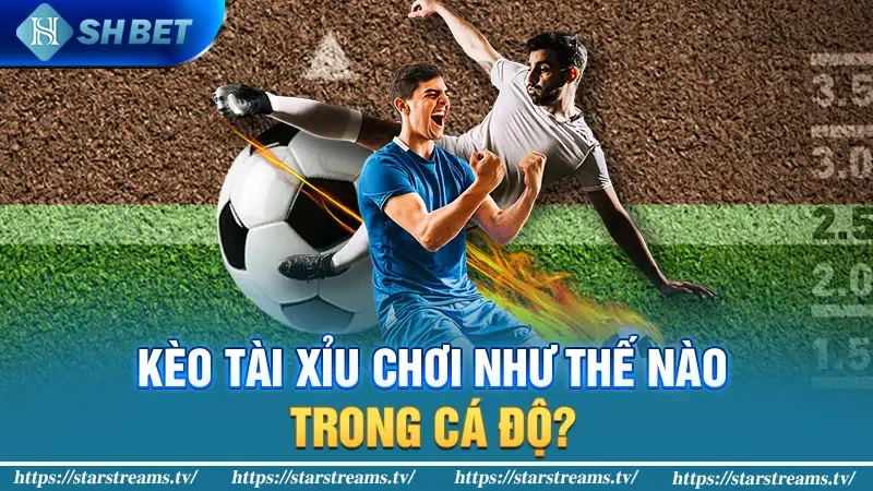 Kèo tài xỉu chơi như thế nào trong cá độ?