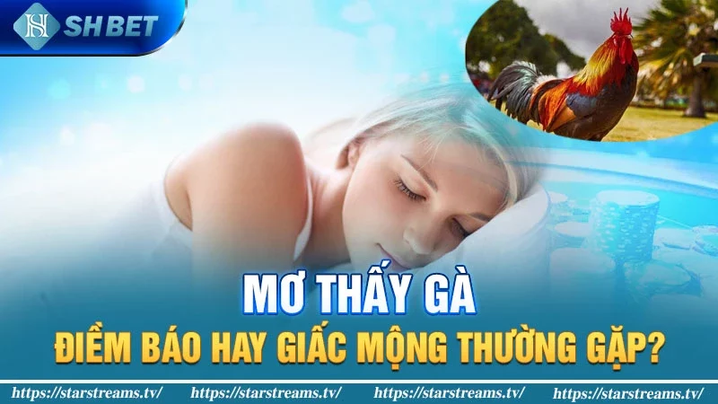 Ý nghĩa cho giấc mộng mơ thấy gà theo từng khía cạnh, niềm vui