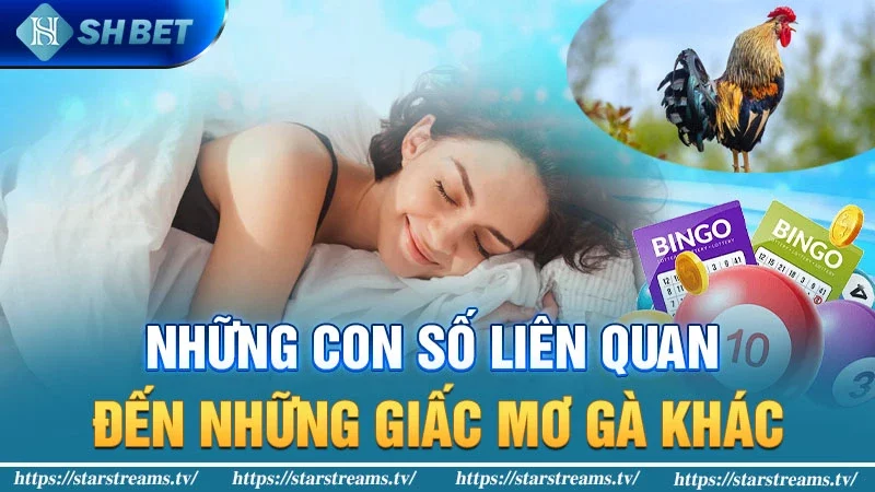 Mơ thấy gà có mối liên quan với con số gì