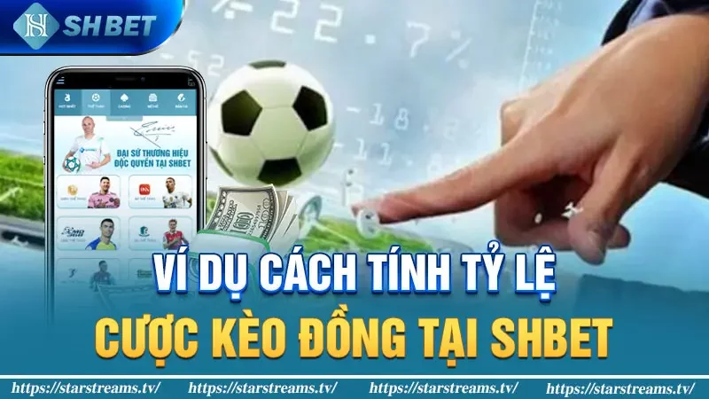 Ví dụ cách tính tỷ lệ cược kèo đồng tại KUBET