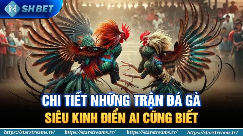 Đá gà kinh điển