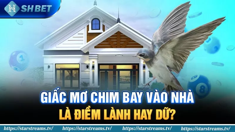 Mơ chim bay vào nhà là điềm lành hay dữ?