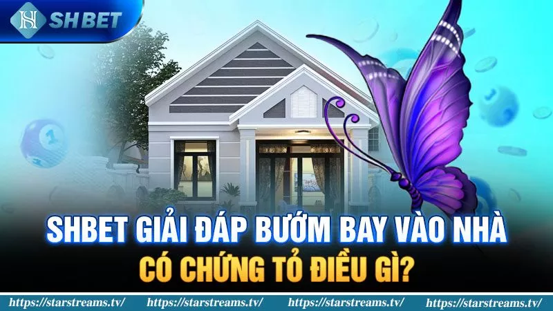 bướm bay vào nhà