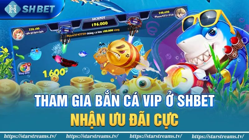 Tham gia bắn cá VIP ở KUBET nhận ưu đãi cực