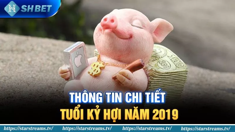 Thông tin chi tiết tuổi Kỷ Hợi năm 2019