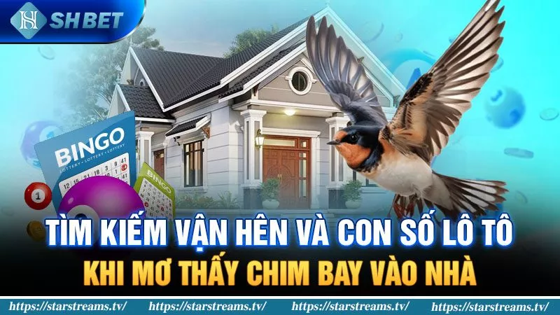 con số lô tô khi mơ thấy chim bay vào nhà